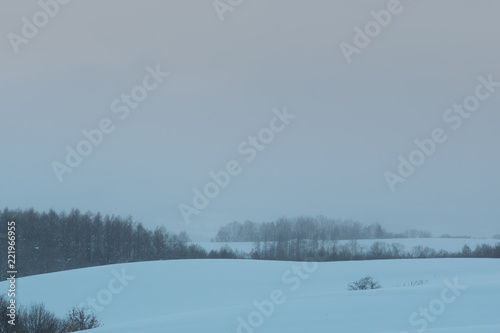 冬の美瑛の丘 / 北海道の観光イメージ © tkyszk