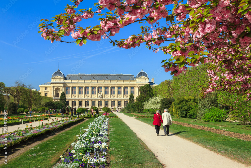 Fototapeta premium Para w podeszłym wieku wybiera się na wiosenny spacer po Jardin des Plantes w Paryżu we Francji