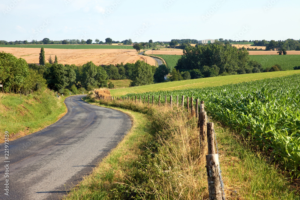 Route De Campagne En France Paysage Bucolique Stock Photo Adobe Stock