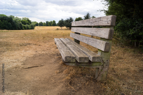 A bench is ready for the weary on the hill in Pishiobury Park in Sawbridgeworth, Hertfordshire  the grass is parched in the summer sun. © Stephen