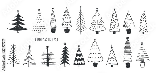 Collection of various firs, pines or spruces drawn with contour lines. Bundle...