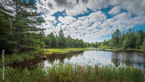 Summer landscape in the Adirondack region of New York