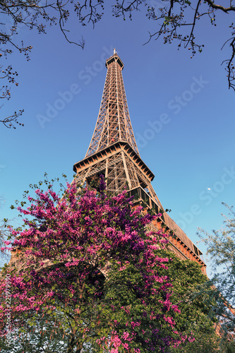 Beautiful vibrant view of spring blossom trees with the Eiffel tower in the background in Paris © dennisvdwater