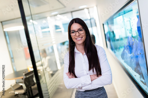 Portrait of young beautiful businesswoman in office Free Download Portrait of young beautiful businesswoman in office - GFXLoad