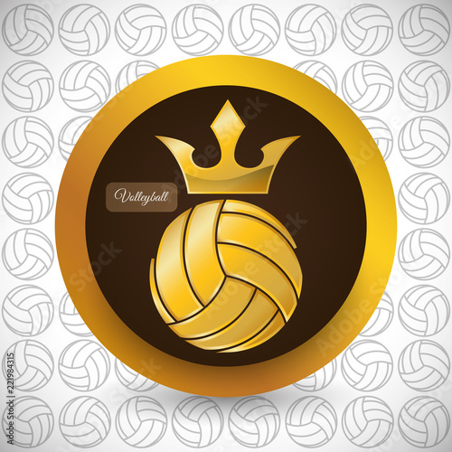 Volleyball icon design 