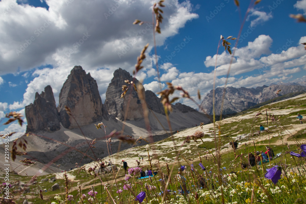 Berge, Wiesen, Blumen und Menschen