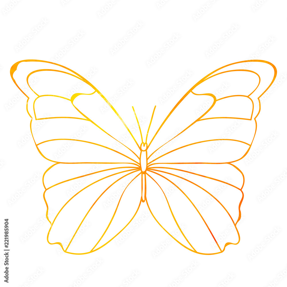 watercolor outline butterfly Stock Vector | Adobe Stock