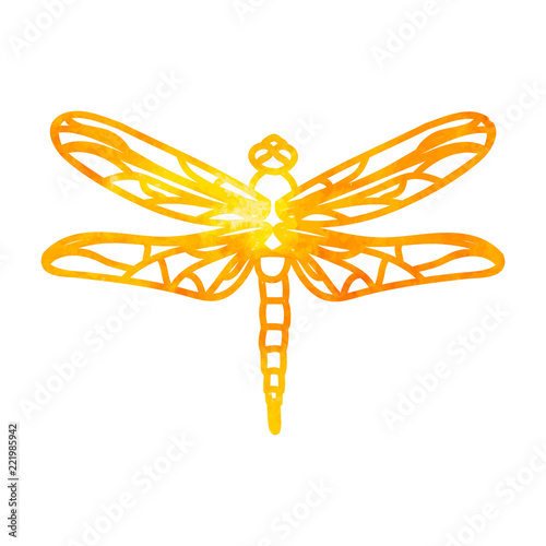 vector, isolated, watercolor dragonfly outline