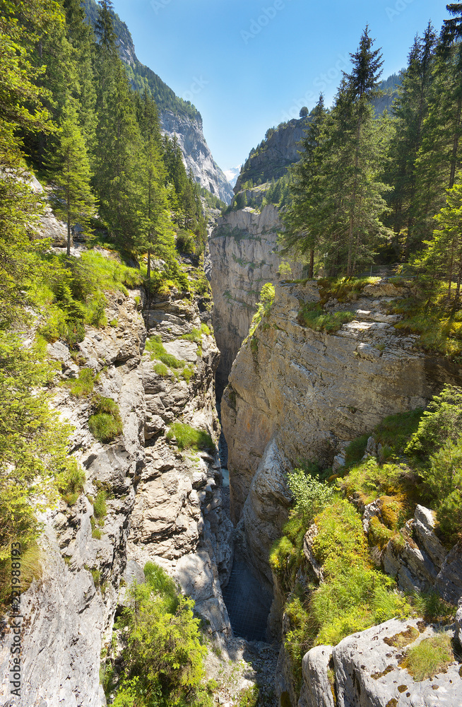 View of a gorge Gletscherschlucht nearby resort of Grindelwald, Switzerland, stereo, left picture View of a gorge Gletscherschlucht nearby resort of Grindelwald, Switzerland, stereo, left picture