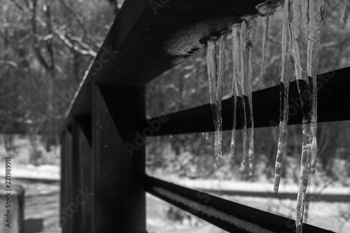 Winter Bridge with Ice 