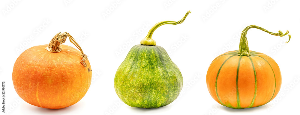 set of yellow and green pumpkins isolated on white set of yellow and green pumpkins isolated on white