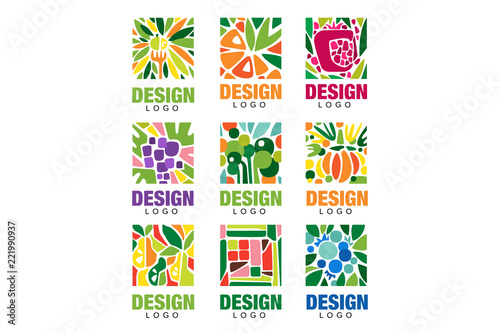 Colorful fruit logos collection. Original label template in rectangular shape. Healthy food concept. Flat vector design for packaging juice, organic shop poster or farm