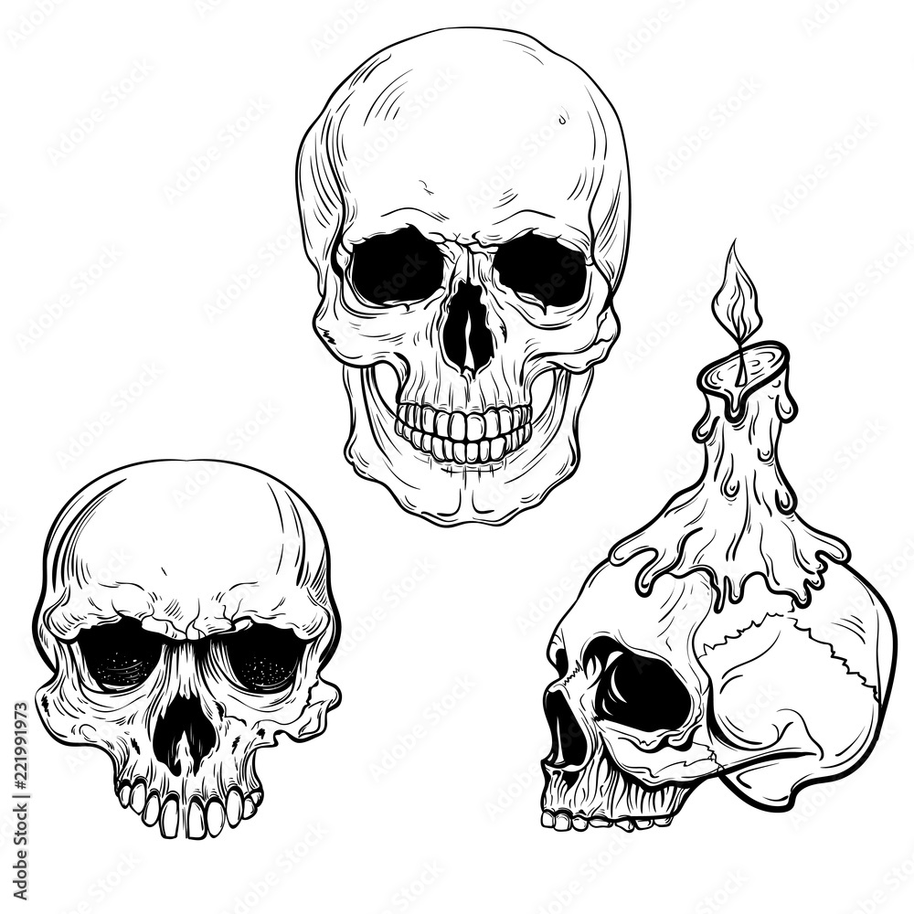 50100 Skull Drawing Stock Photos Pictures  RoyaltyFree Images  iStock   Skull illustration Skulls Skeleton