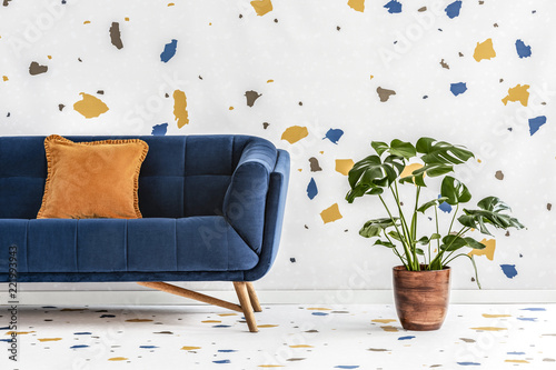 Green monstera plant next to a dark blue sofa with an orange pillow in a white living room interior with lastrico wallpaper. Real photo.