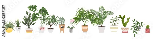 isolated objects indoor plants and flowers in different pots and planters. vector illustration in watercolor style.