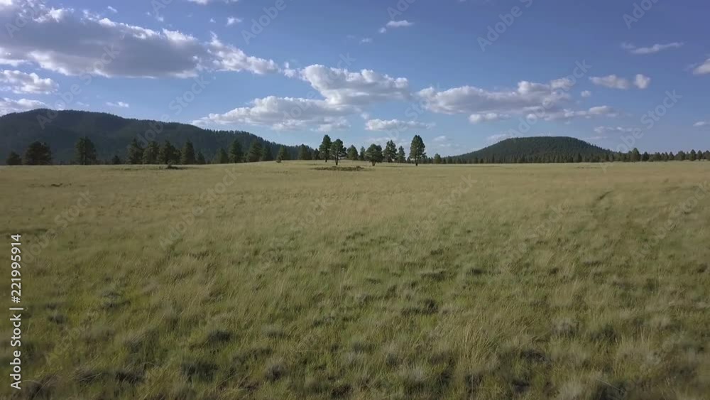 Low aerial of a vast prairie in the forest Low aerial of a vast prairie in the forest