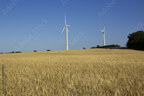Bilde på lerret Wind turbines at a field for agriculture in the island of Jylland, Denmark