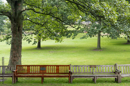  deux bancs publics sous un arbre