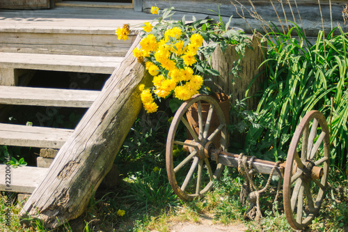 yellow flowers and truck 