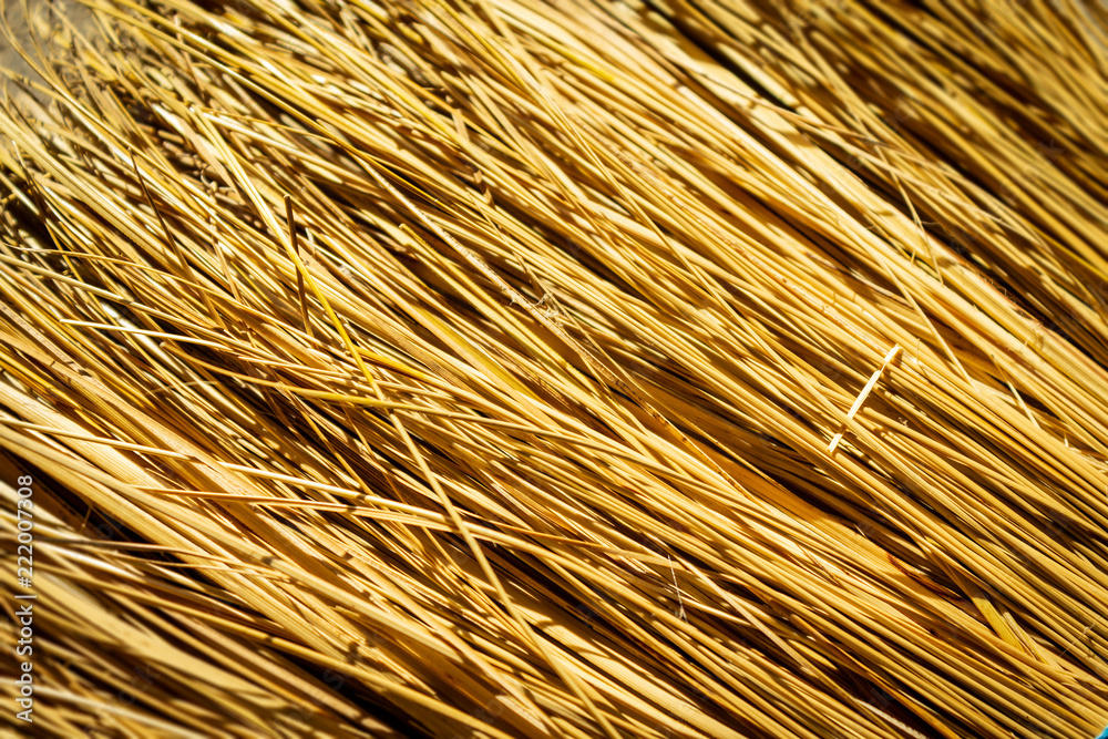 Closeup macro broom texture with natural tan and yellow fibers in high detail zoomed in.