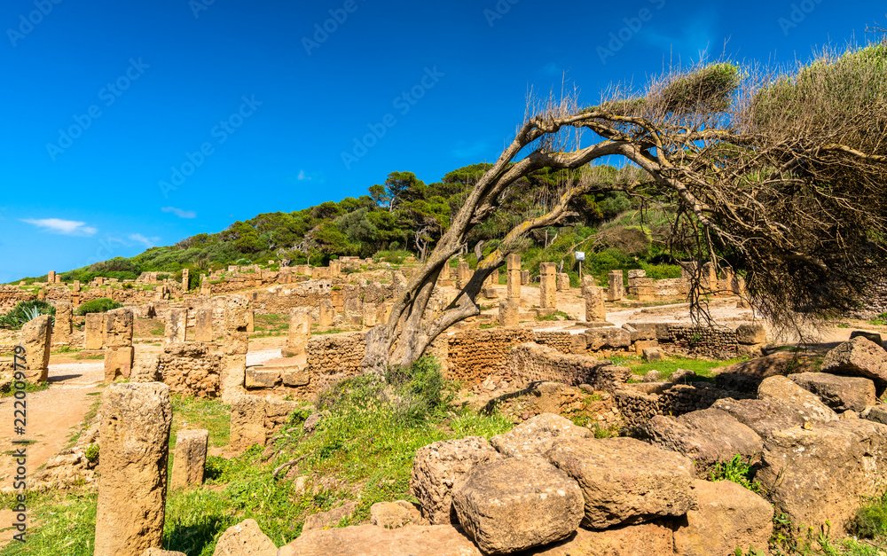Ruins of Tipasa, a Roman colonia in Algeria, North Africa