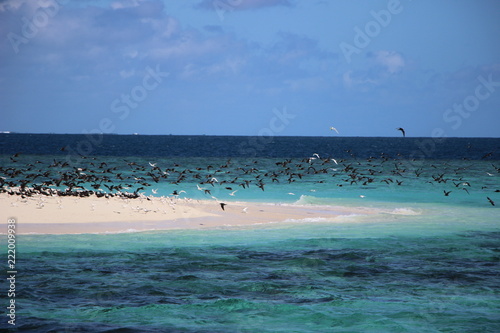 Mana Sand Beach- Fiji