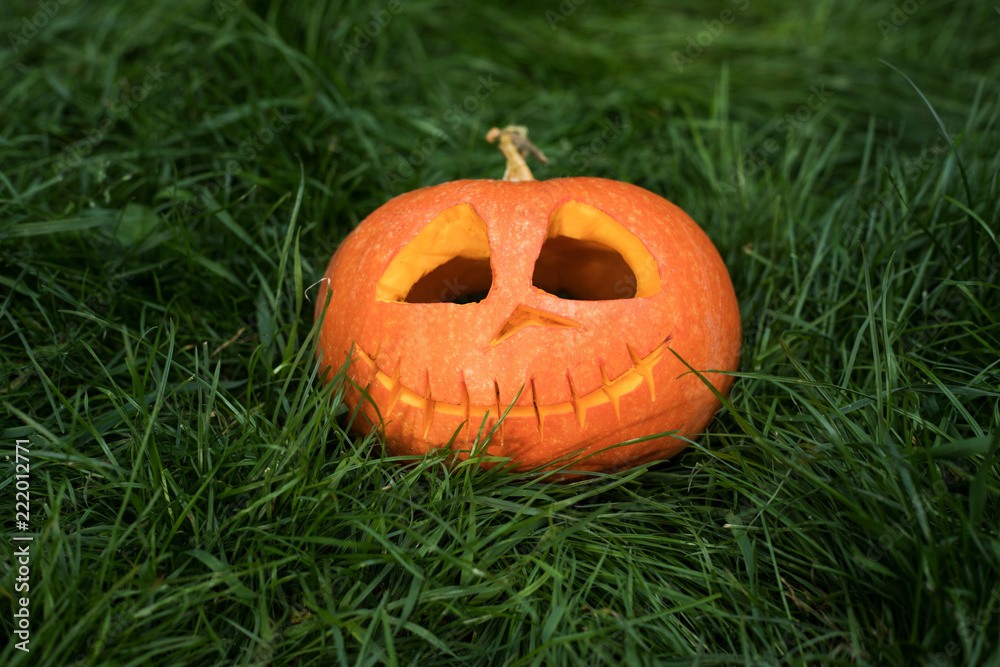 halloween carved pumpkin on grass, jack-o-lantern halloween carved pumpkin on grass, jack-o-lantern