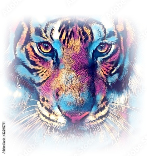 tiger art illustration color