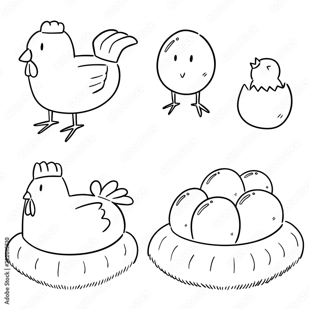 vector set of chicken and egg vector set of chicken and egg