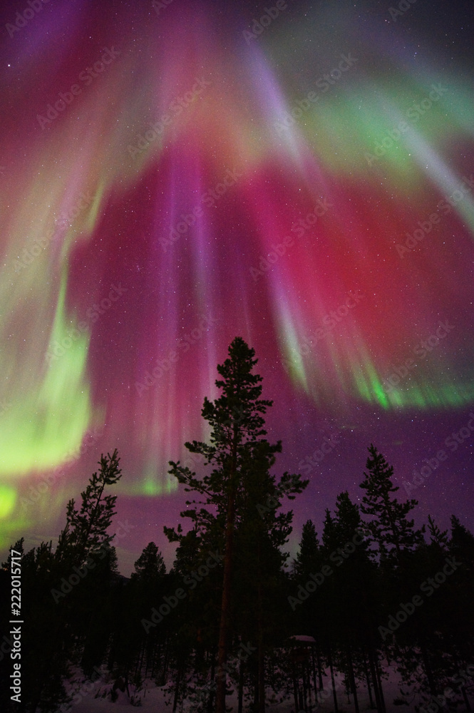 Aurora Borealis, Northern Lights, above boreal forest in Finnish ...