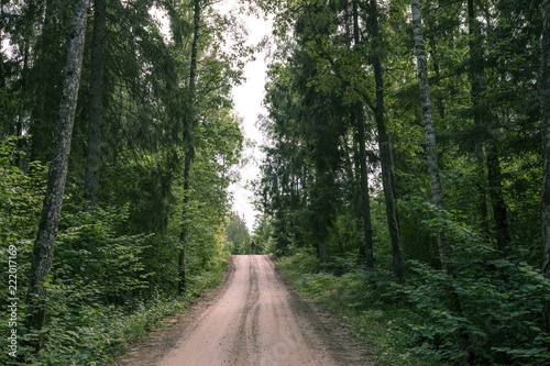 Road to Pokaini Forest