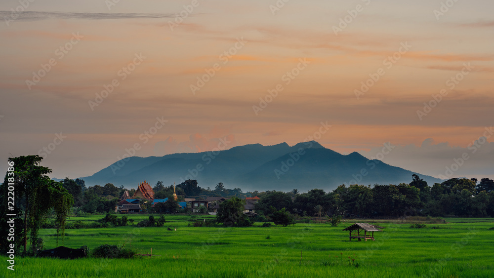 View of rural village in the evening..The temple, the field, the mountain.Thailand.