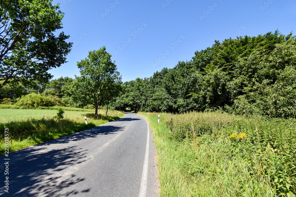 Small country road in Mecklenburg-Vorpommern (Germany) Small country road in Mecklenburg-Vorpommern (Germany)