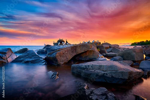 Obraz Zmierzch przy Brighton plażą z ptakami