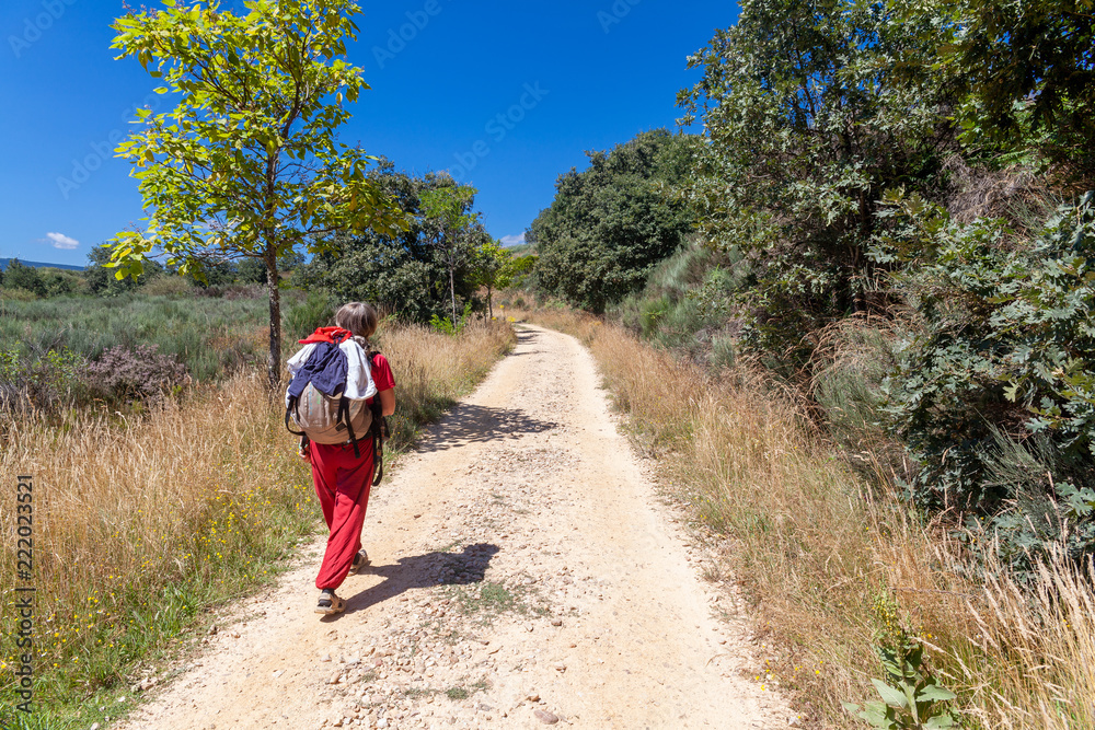 Camino de Santiago Spain