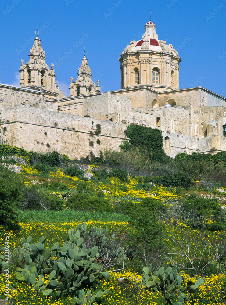 Cathedral of St Paul, Media Malta