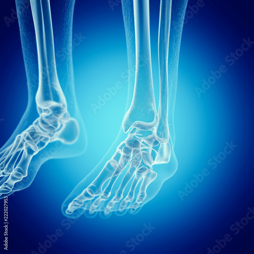 3d rendered medically accurate illustration of the foot bones