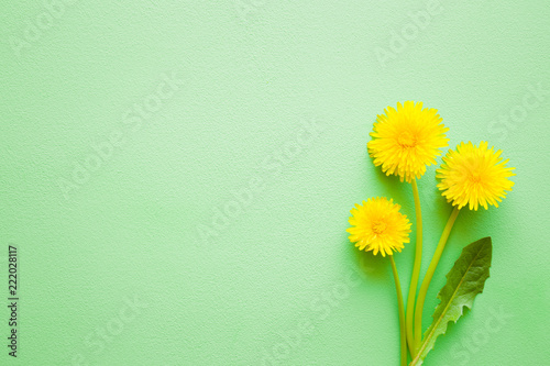 Fresh dandelions with leaf on pastel green desk. Minimalism. Bright colors. Mockup for special offers as advertising or other ideas. Empty place for inspirational, motivational text, quote or sayings.