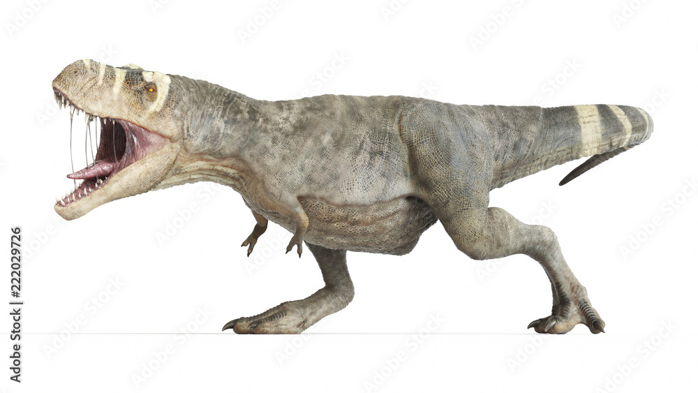 3d rendered medically accurate illustration of a T-rex 3d rendered medically accurate illustration of a T-rex