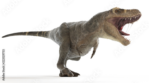3d rendered medically accurate illustration of a T-rex © Sebastian Kaulitzki