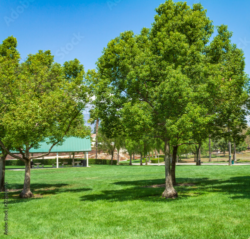 Surburan park in California with green trees, grass, and clear blue sky photo
