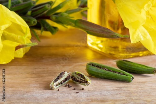 Evening primrose pods and seeds, with evening primrose oil