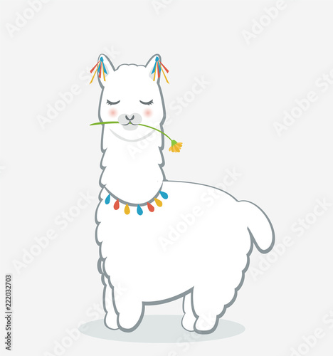 Cute llama vector. Lovely cartoon illustration