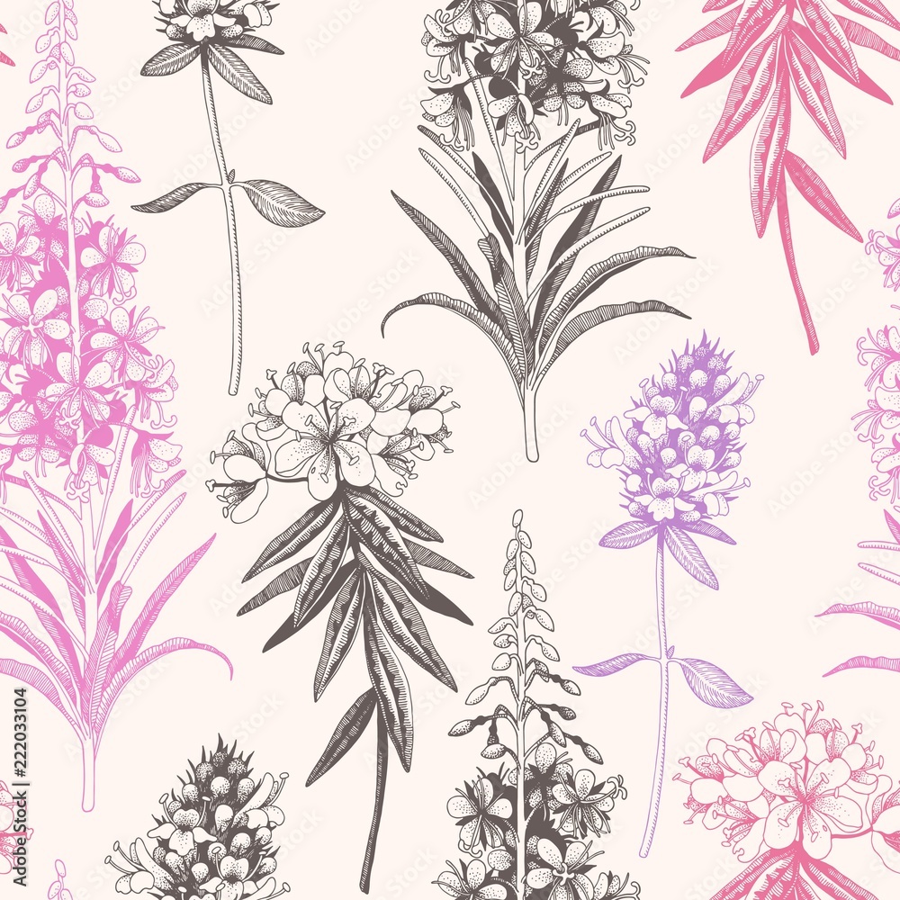 Vector hand drawn meadow flowers seamless pattern