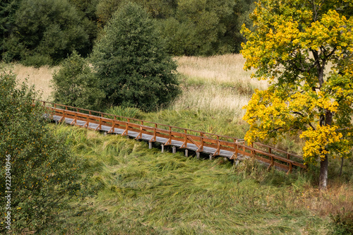 Holzbrücke über Feuchtwiese im Harz photo