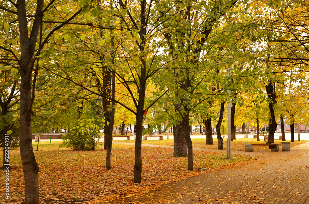 Fall of leaves in an autumn park