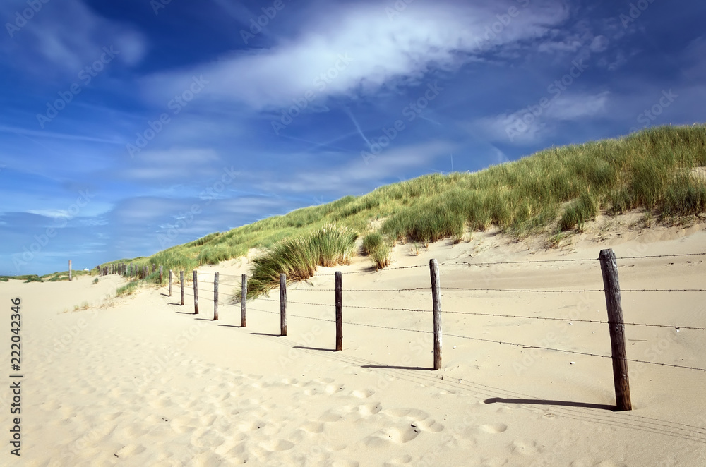 fence on the beach