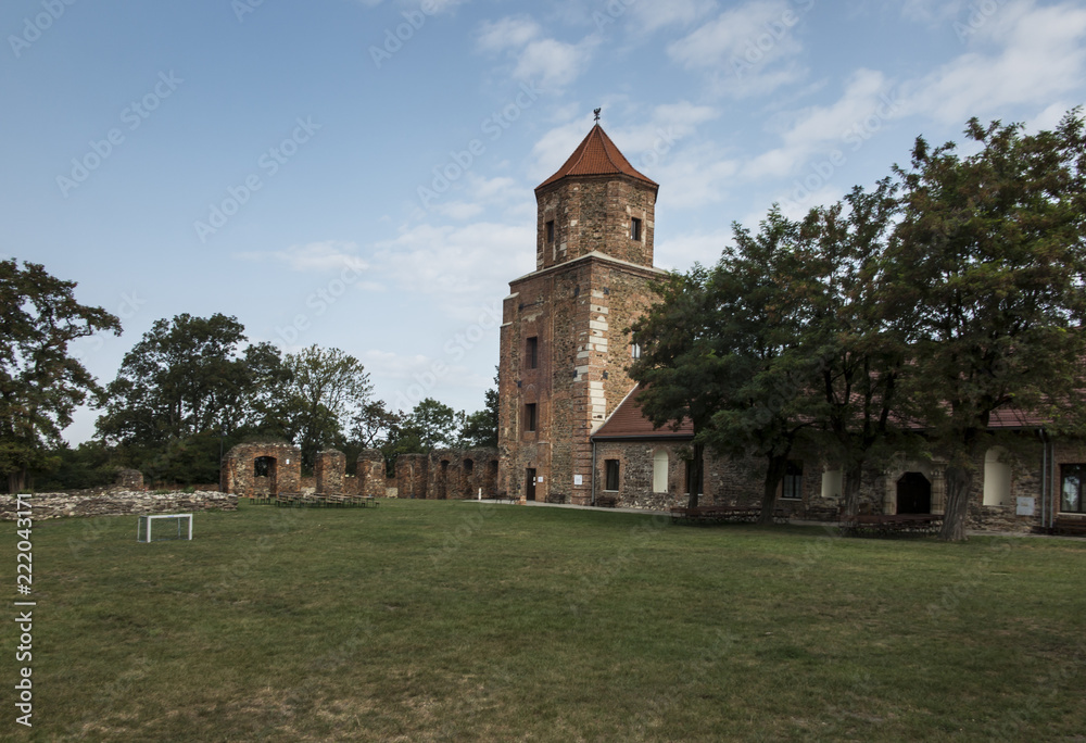 Old castle Toszek in Poland,