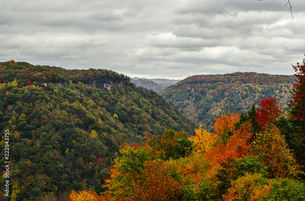Mountain Range in Autumn Color Burst on Right