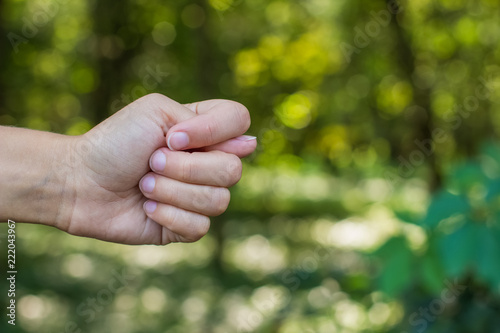 fig sign by human hand and fingers on unfocused blurred bokeh natural background environment, copy space © Артём Князь